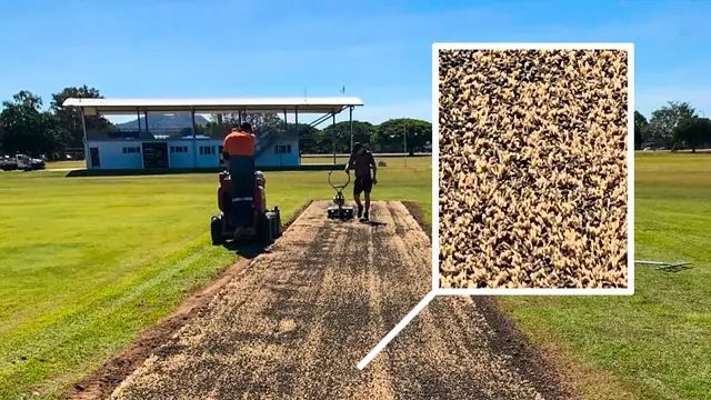 Hybrid H3 cricket wicket