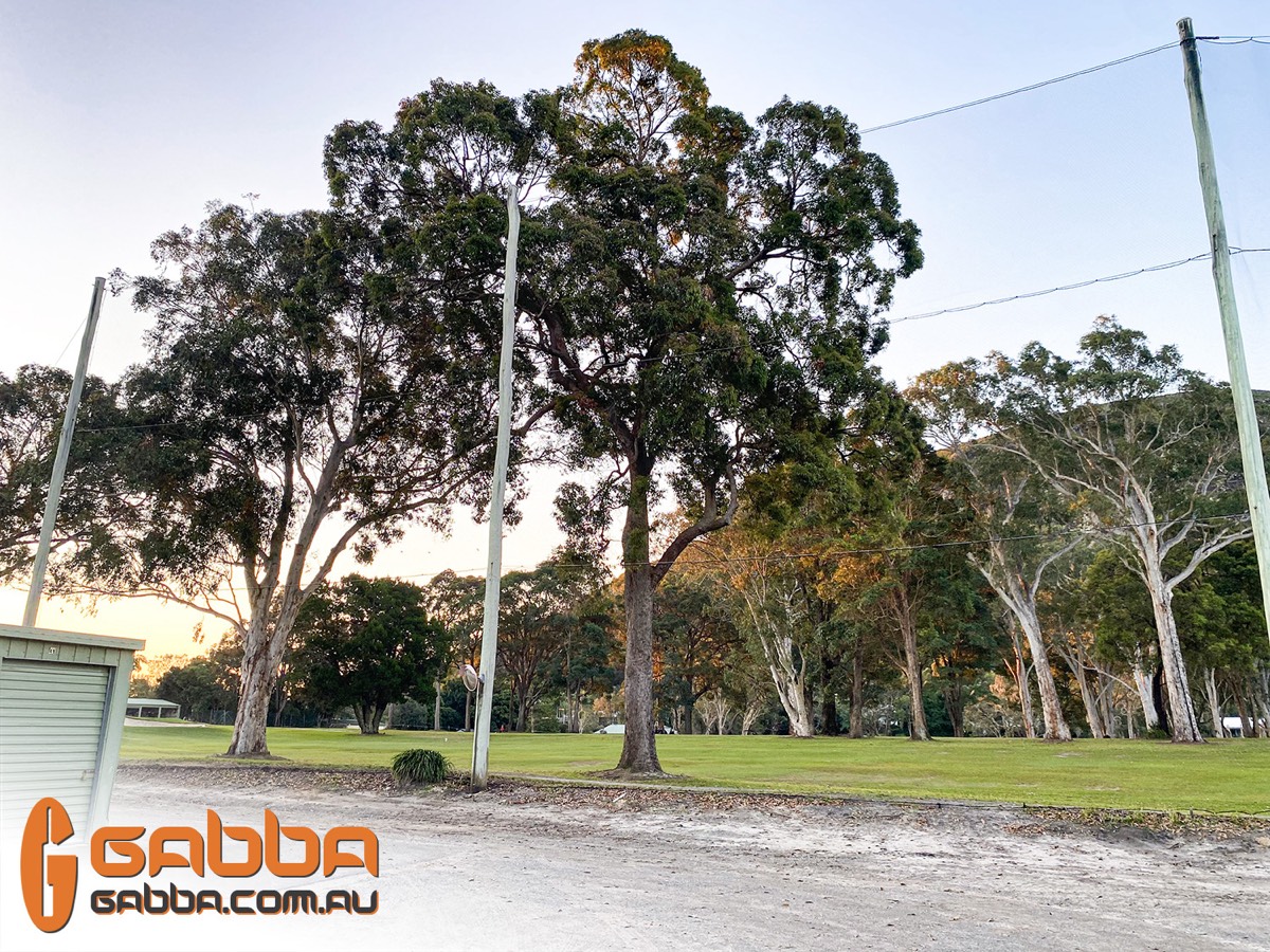 MT COOLUM GOLF CLUB